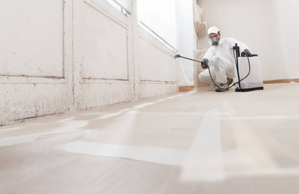 Post-remediation clearance in Willow Grove